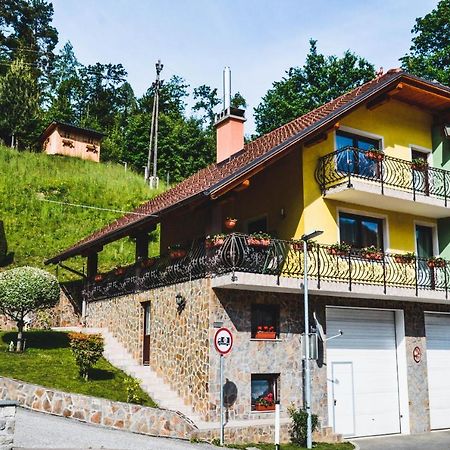 Apartmaji Krebs Mezica Zewnętrze zdjęcie